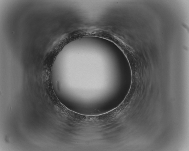 X0000099231447200804241443