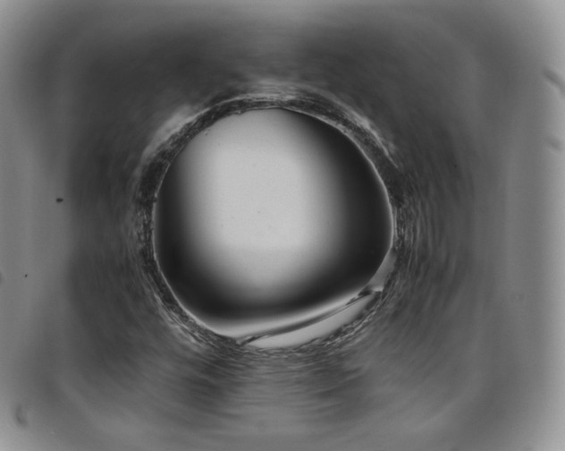 X0000099231448200804241443