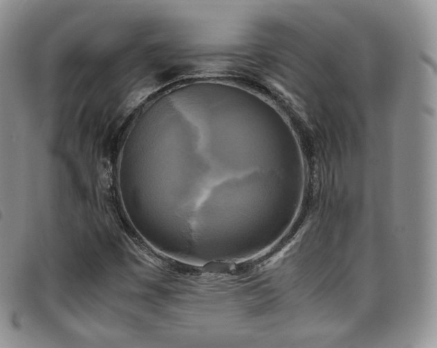 X0000099231449200804241443