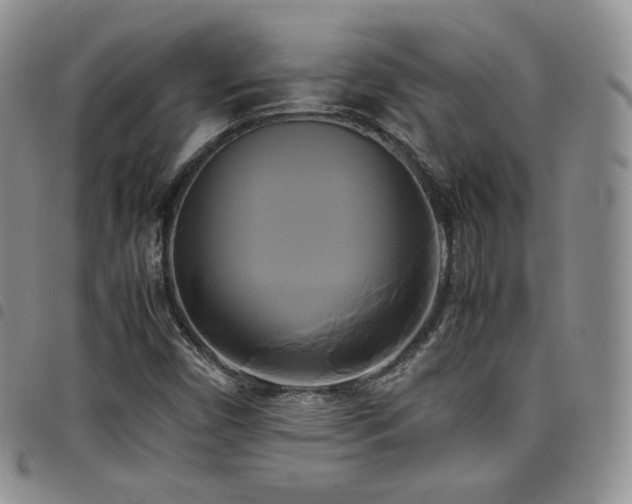 X0000099231450200804241443