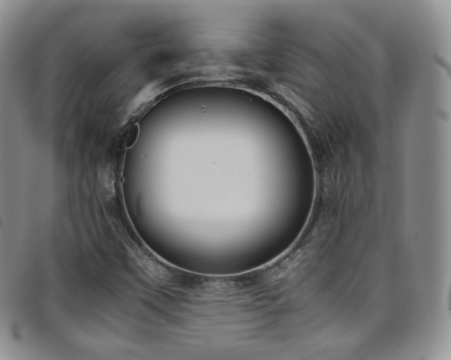 X0000099231451200804241443