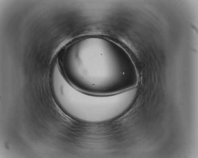 X0000099231452200804241443
