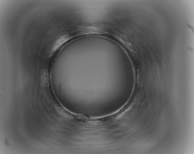 X0000099231453200804241443