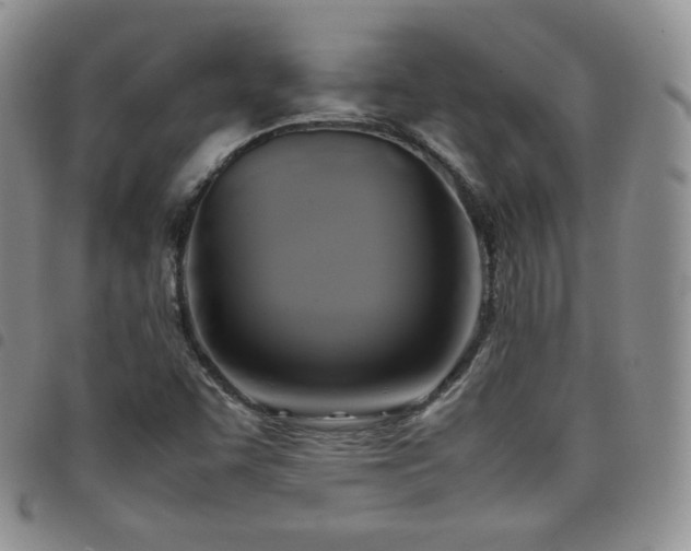 X0000099231455200804241443