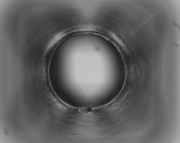 X0000099231456200804241443