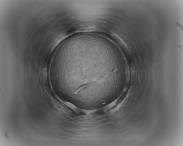X0000099231457200804241443