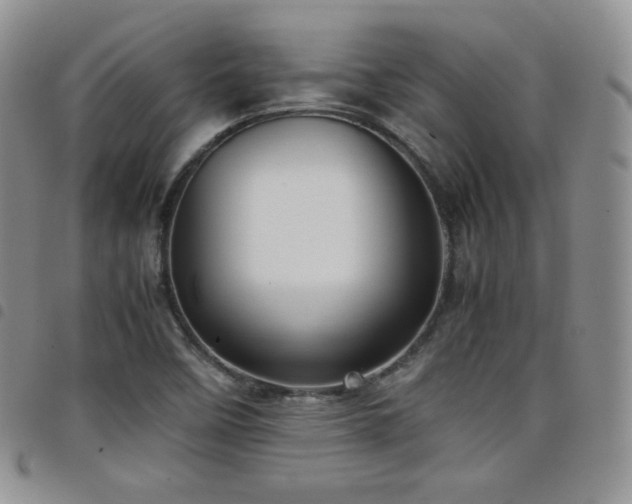 X0000099231458200804241443