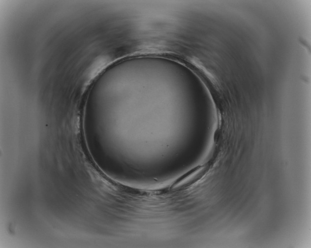 X0000099231459200804241443