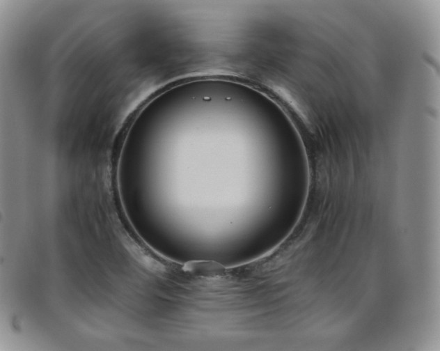 X0000099231460200804241443