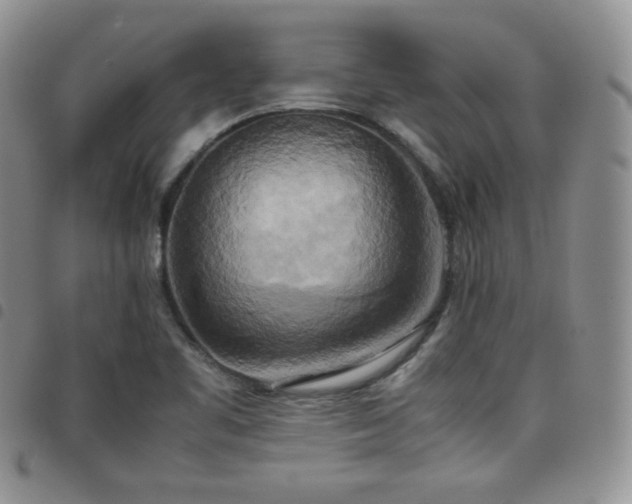 X0000099231461200804241443