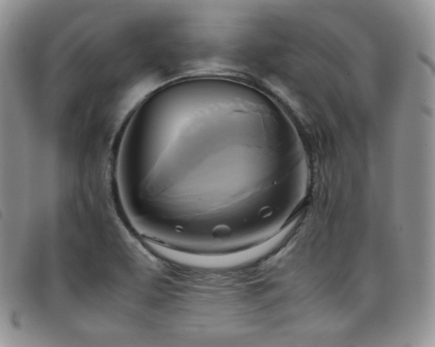X0000099231463200804241443