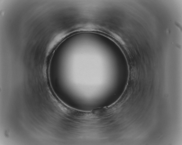 X0000099231464200804241443