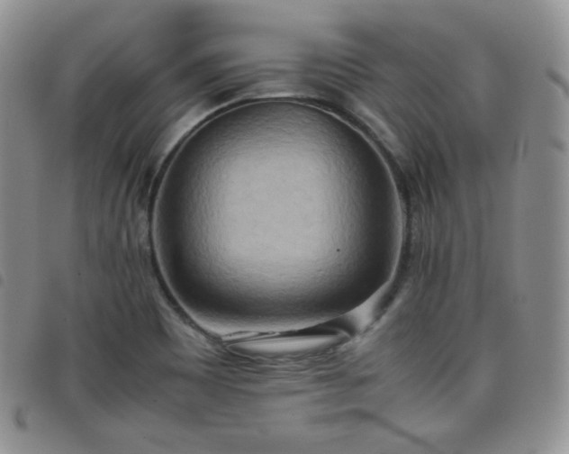 X0000099231465200804241443