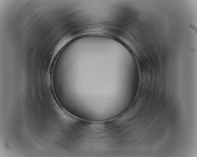 X0000099231466200804241443
