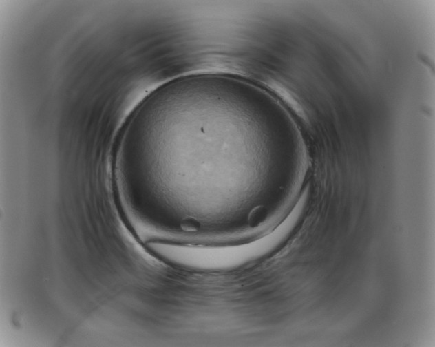 X0000099231468200804241443