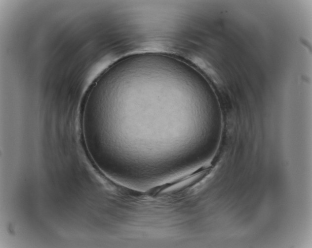 X0000099231469200804241443