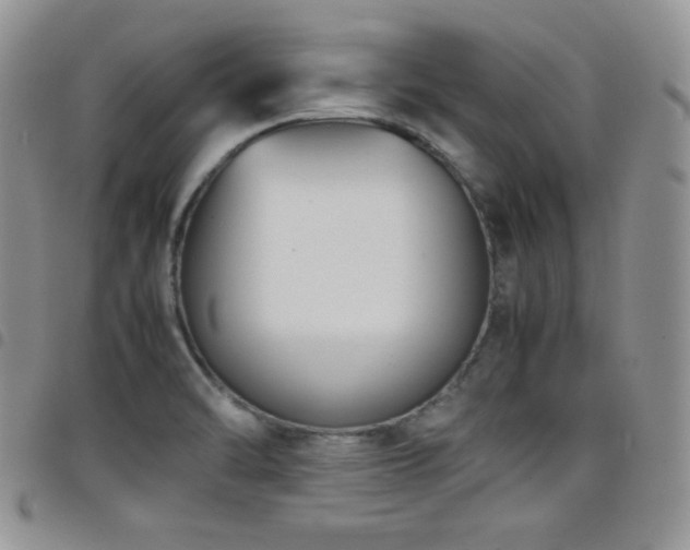 X0000099231470200804241443