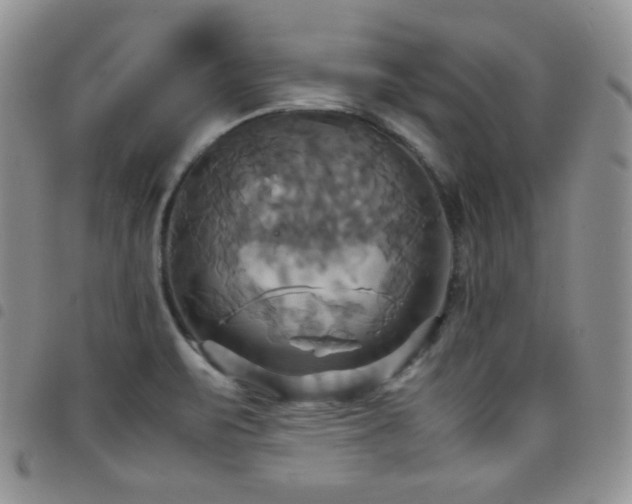 X0000099231471200804241443