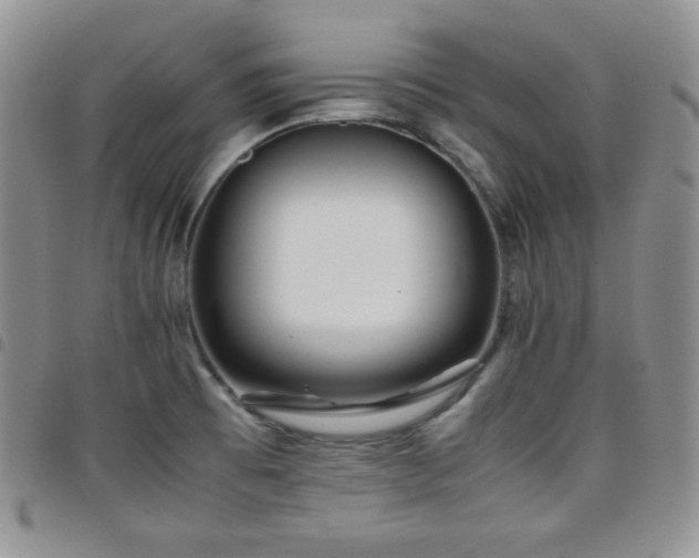 X0000099231473200804241443