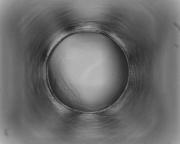 X0000099231474200804241443