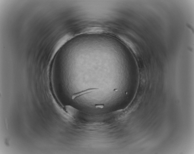 X0000099231475200804241443
