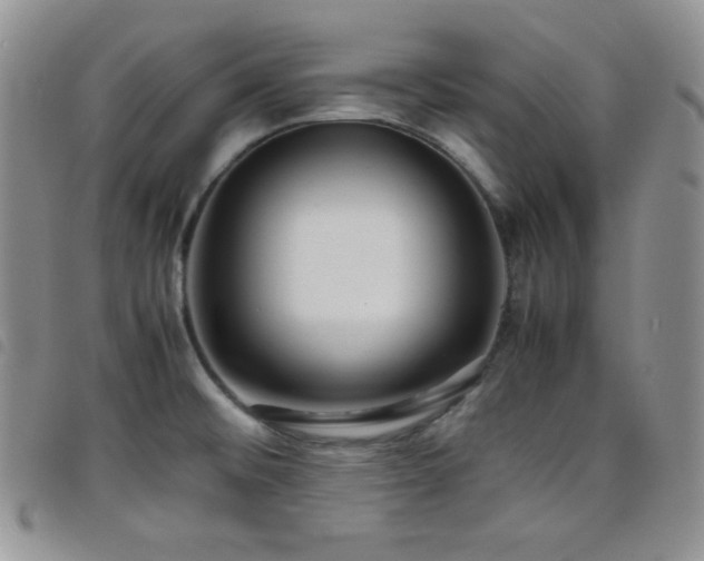 X0000099231476200804241443
