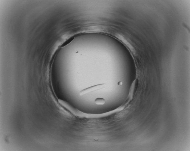 X0000099231477200804241443