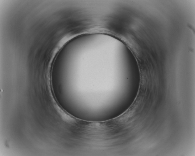 X0000099231478200804241443