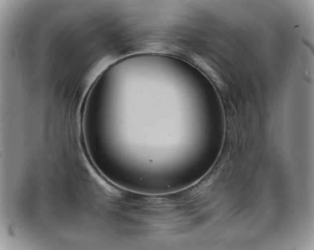 X0000099231479200804241443