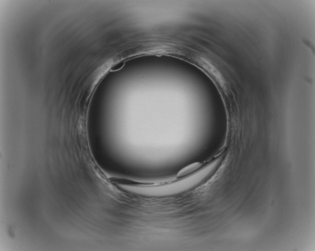 X0000099231481200804241443