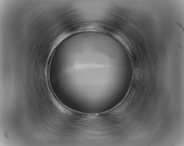 X0000099231482200804241443