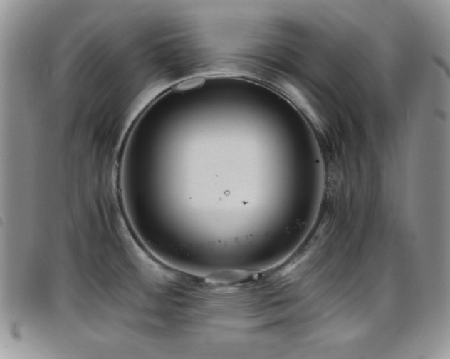 X0000099231484200804241443