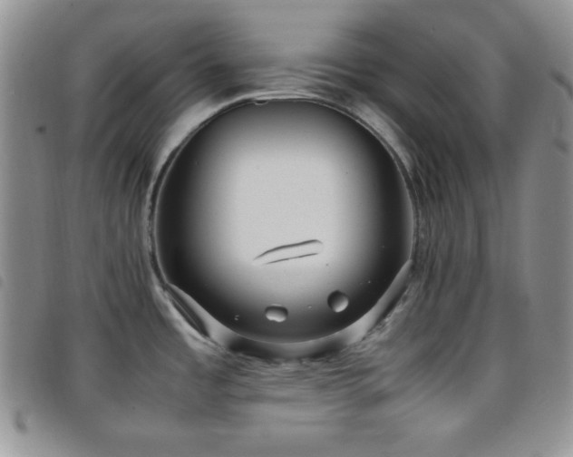X0000099231485200804241443