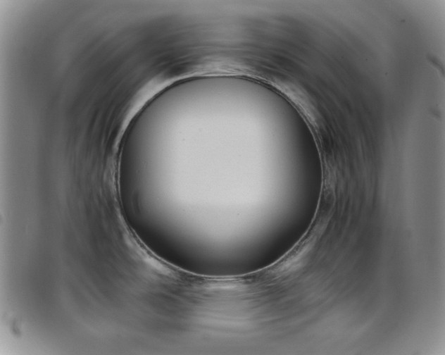 X0000099231486200804241443