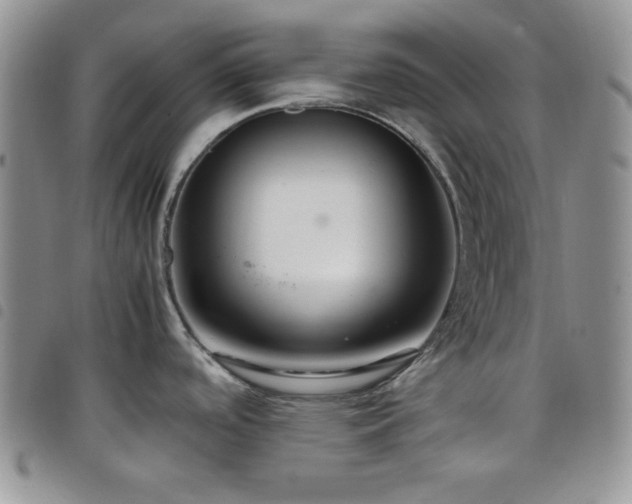 X0000099231488200804241443