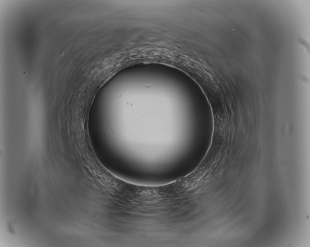 X0000099231489200804241442