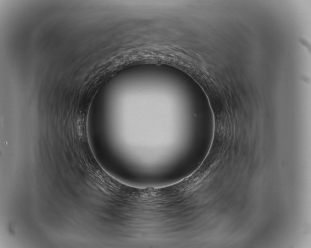 X0000099231490200804241442