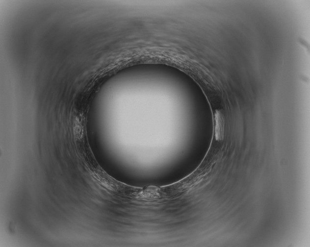 X0000099231491200804241442