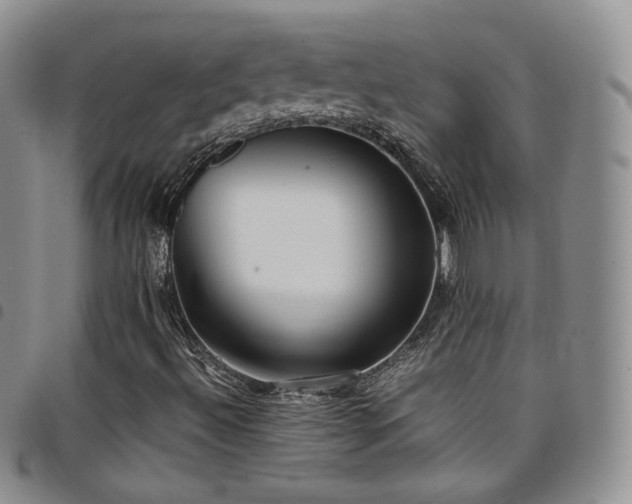 X0000099231492200804241442
