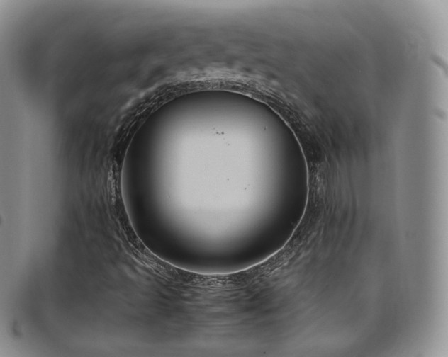 X0000099231493200804241442