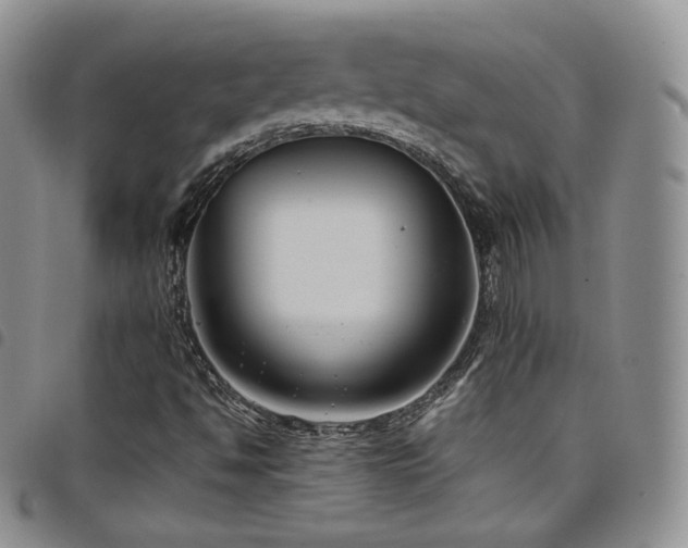 X0000099231494200804241442