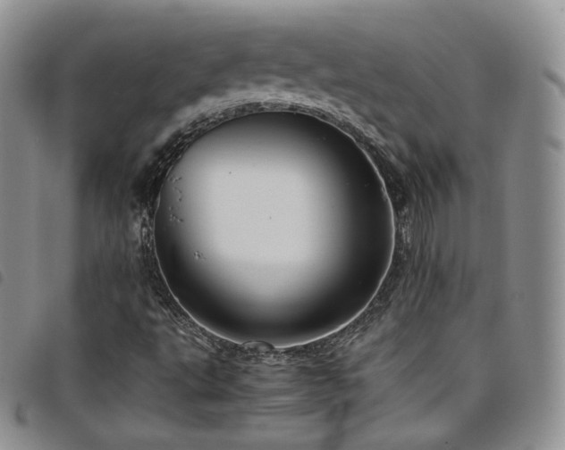 X0000099231495200804241442