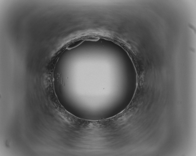 X0000099231496200804241442