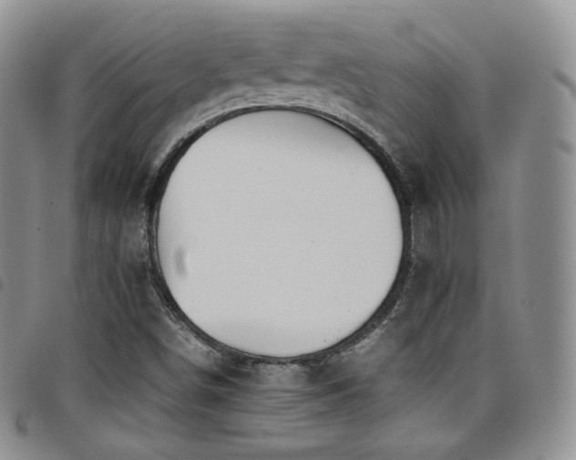 X0000099231498200804241442