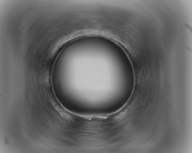X0000099231499200804241442