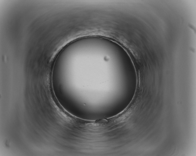 X0000099231500200804241442