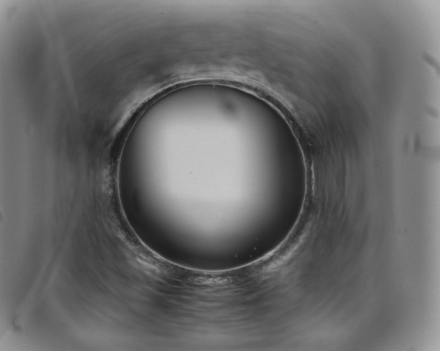 X0000099231501200804241442