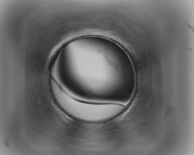 X0000099231502200804241442