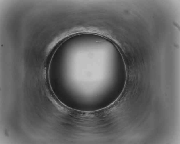X0000099231503200804241442