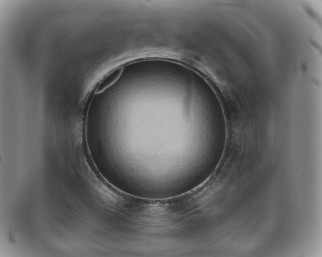 X0000099231504200804241442